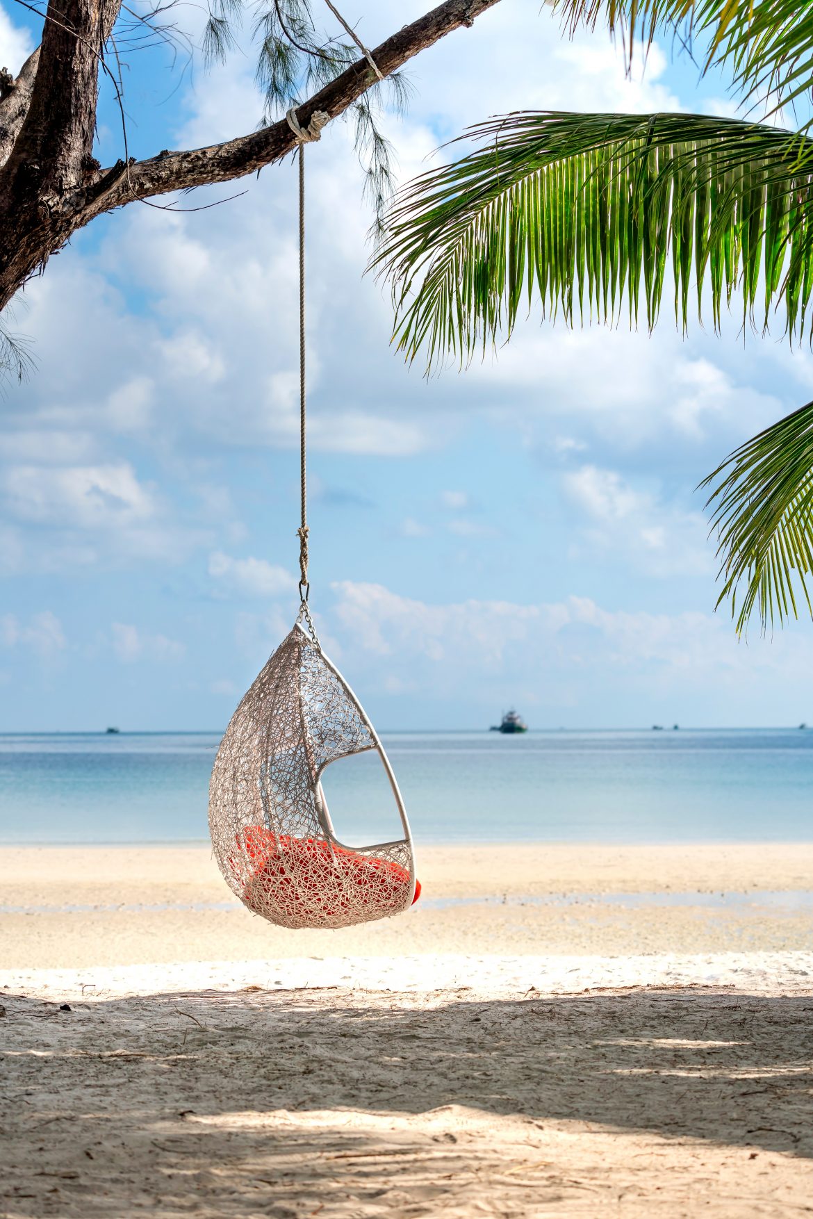 Découvrez la Martinique,  » l’île fleur  » des Caraïbes