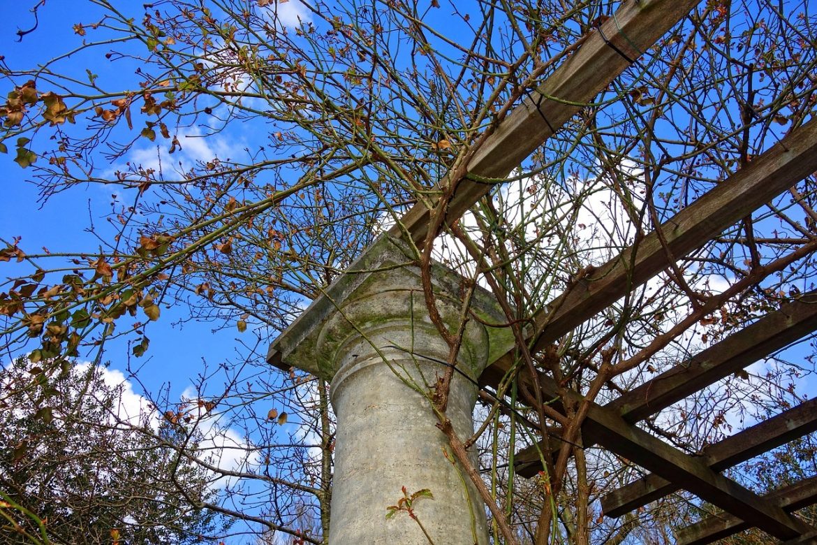 Équiper votre maison d’une pergola, les avantages et les critères de choix